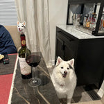 Custom Pet Bobblehead Wine Bottle Stoppers
